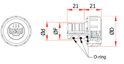 TP dimensies